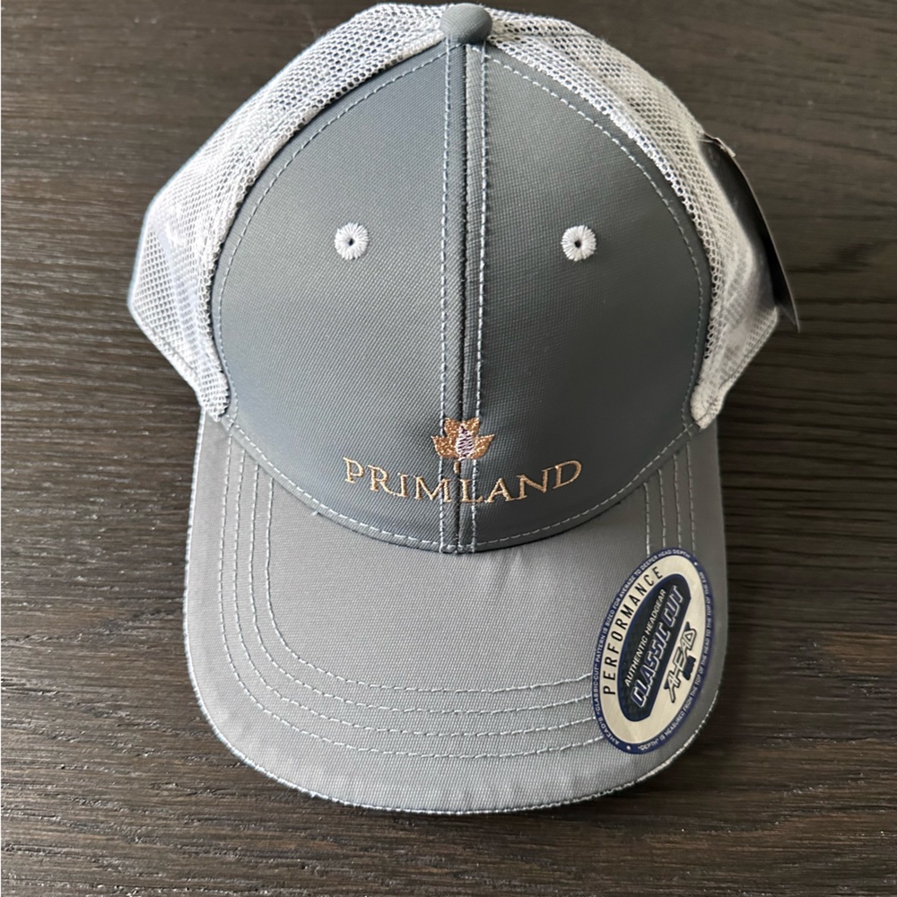 Head Gray and White Mesh Cap